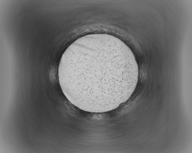 X0000111841490200908201206