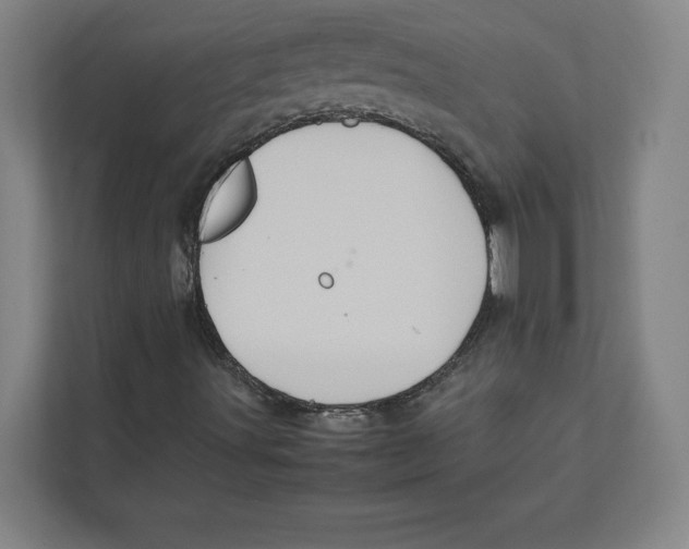 X0000111841491200908201206