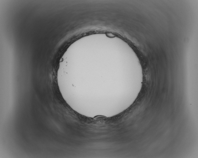 X0000111841495200908201206