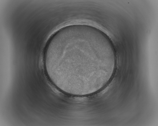 X0000111841498200908201206