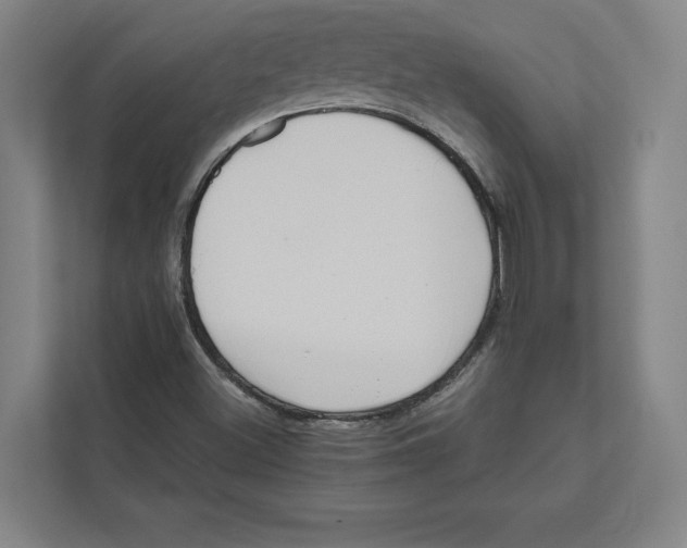 X0000111841500200908201206