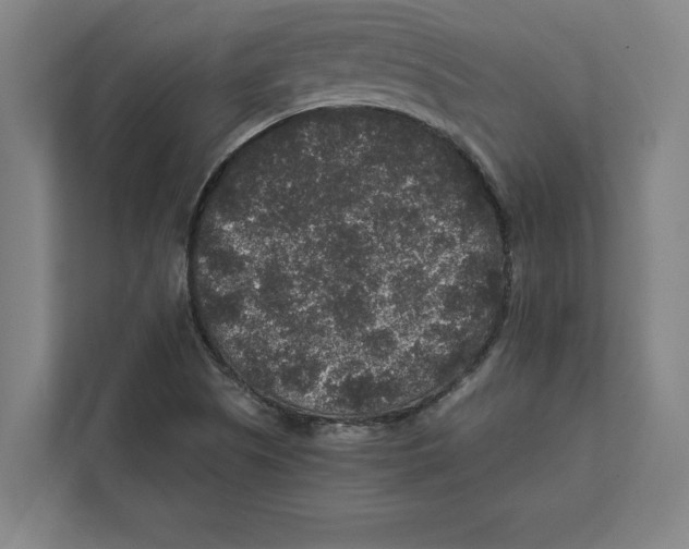 X0000111841505200908201206