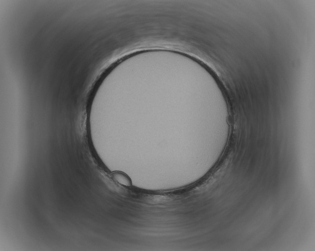 X0000111841507200908201206