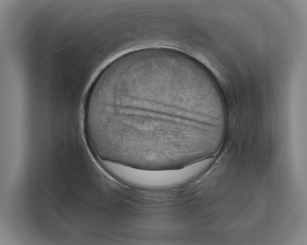 X0000111841508200908201206