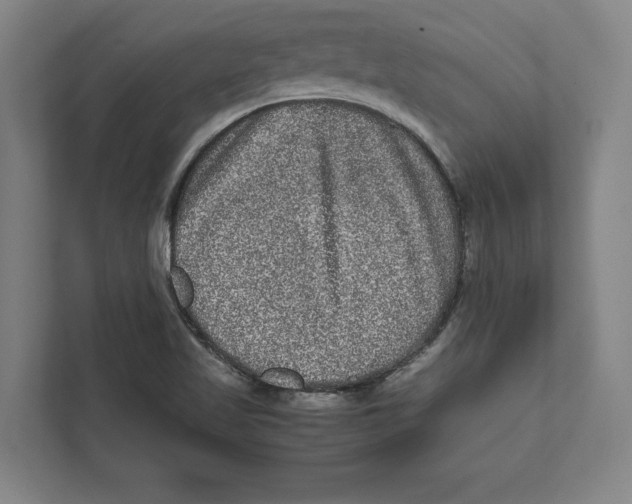 X0000111841509200908201206