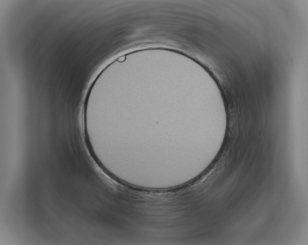 X0000111841516200908201206