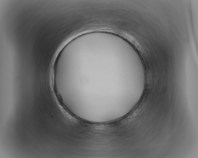 X0000111841520200908201206