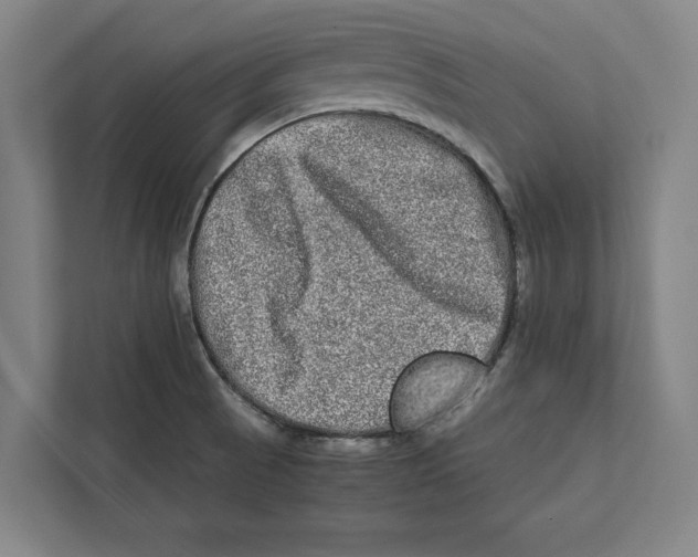 X0000111841521200908201206