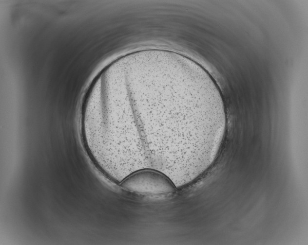 X0000111841523200908201206