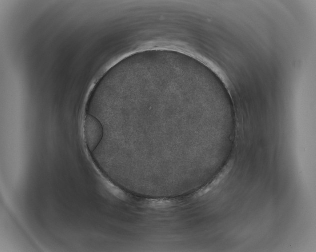 X0000111841525200908201206