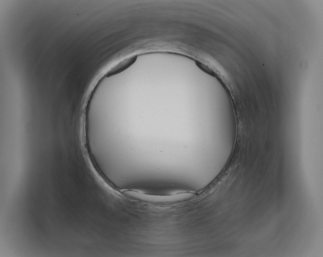 X0000111841528200908201206