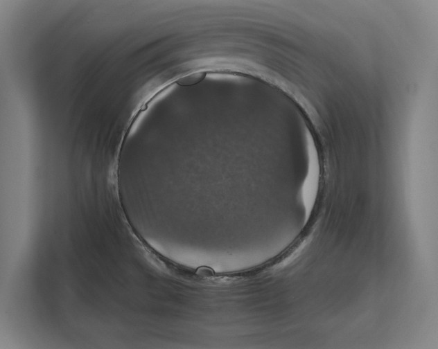 X0000111841529200908201206