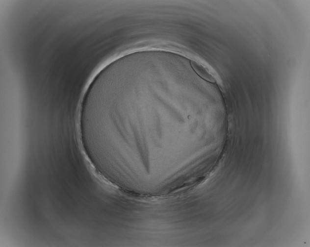 X0000111841530200908201206