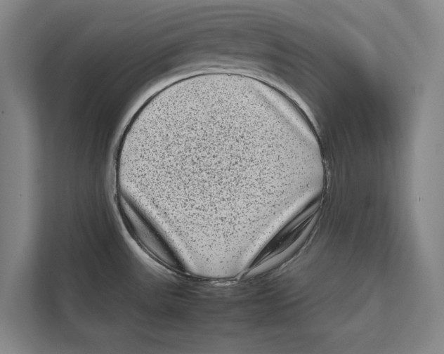 X0000111841531200908201206