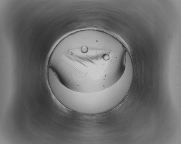 X0000111841532200908201206