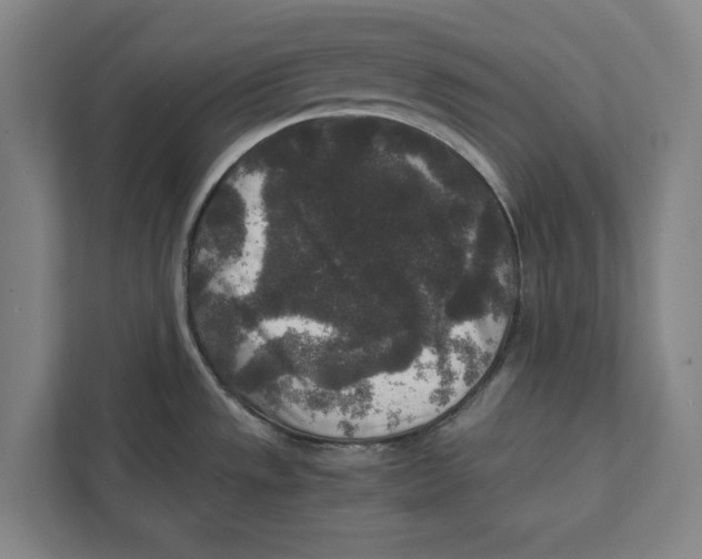 X0000111841533200908201206