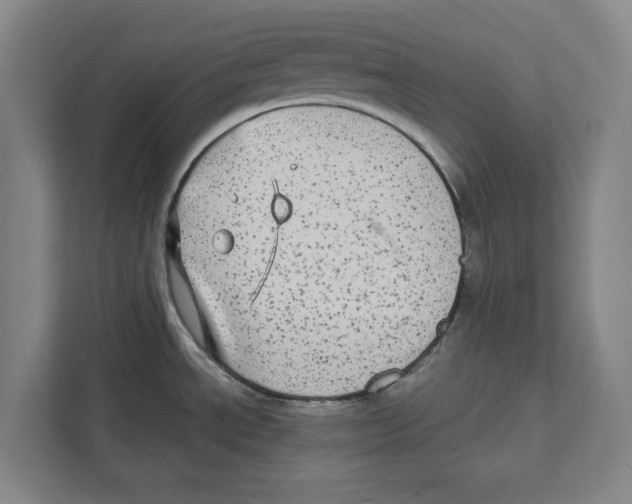 X0000111841534200908201206