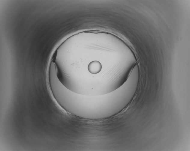 X0000111841536200908201206