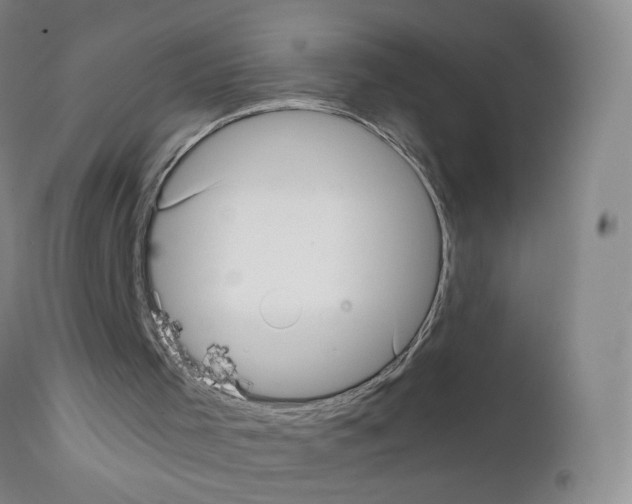 X0000111840001200909031714