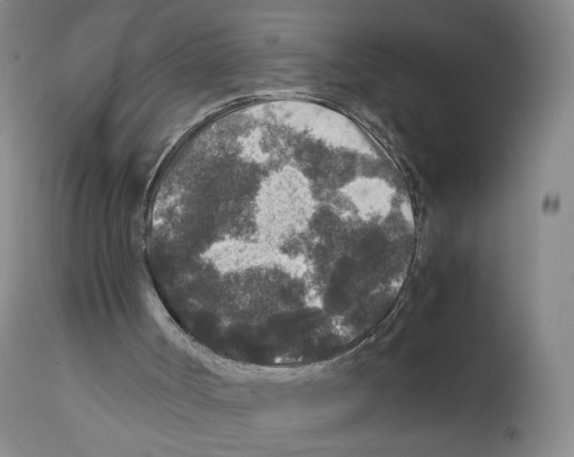 X0000111840002200909031714