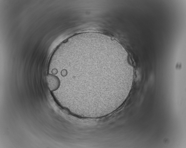 X0000111840004200909031714