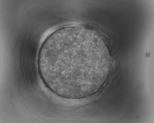 X0000111840006200909031714