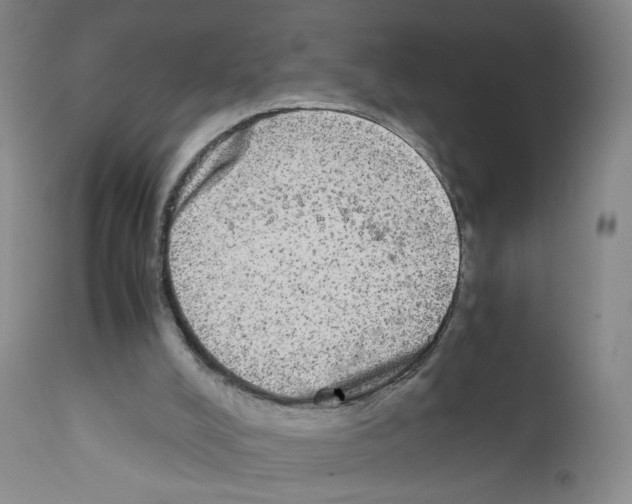 X0000111840008200909031714