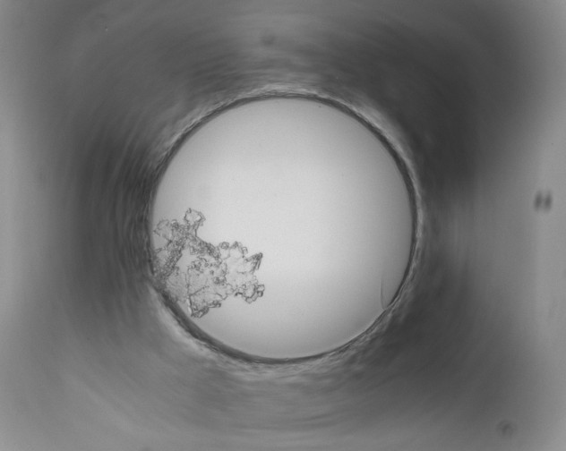 X0000111840009200909031714