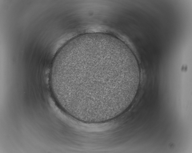 X0000111840010200909031714