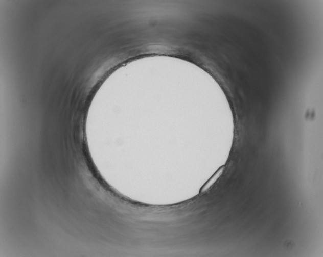 X0000111840011200909031714