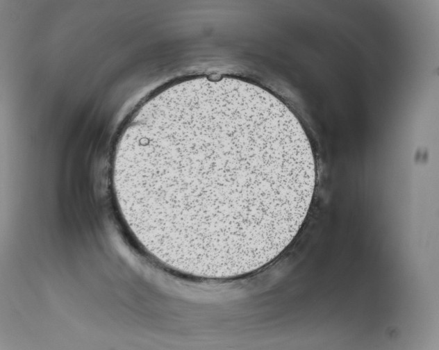 X0000111840012200909031714