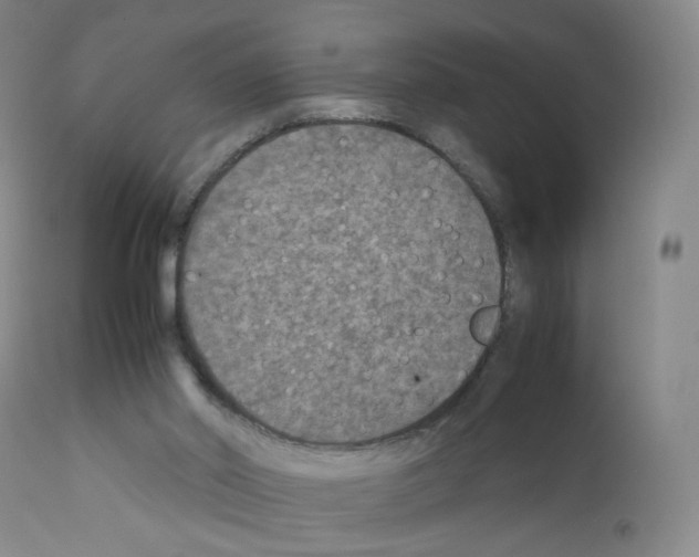 X0000111840014200909031714