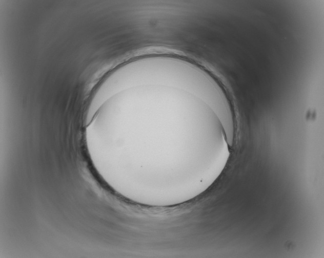 X0000111840015200909031714