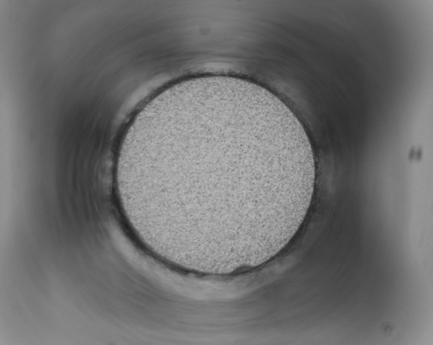 X0000111840016200909031714