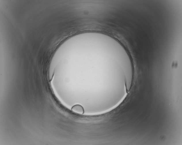 X0000111840017200909031714