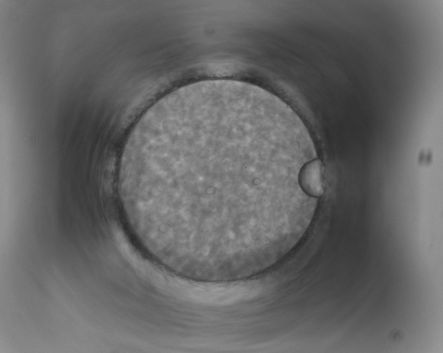 X0000111840018200909031714