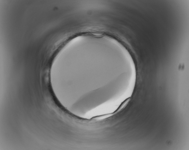 X0000111840019200909031714