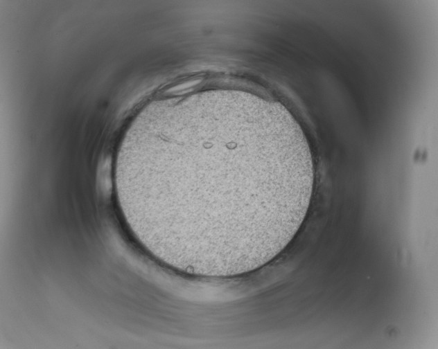 X0000111840020200909031714