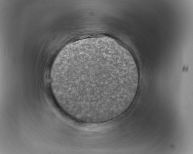 X0000111840021200909031714