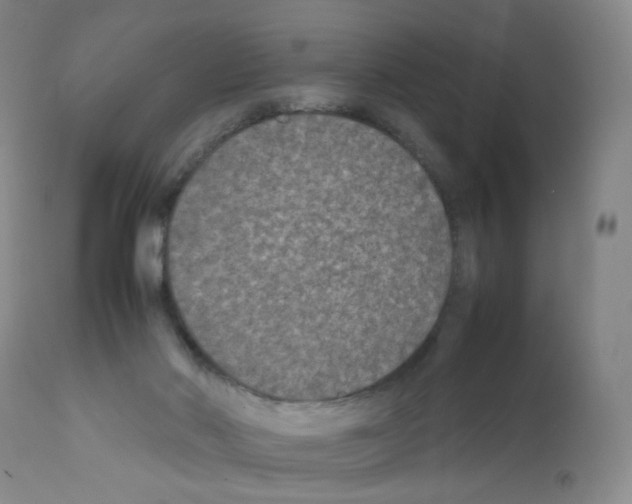 X0000111840022200909031714