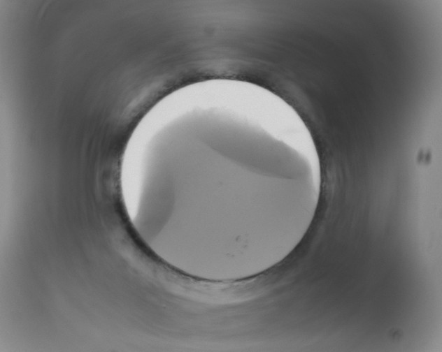 X0000111840023200909031714