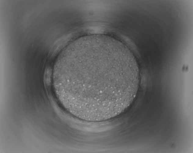 X0000111840026200909031714