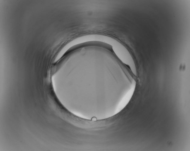 X0000111840027200909031714