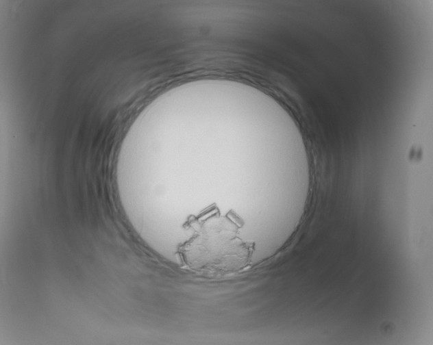 X0000111840029200909031714