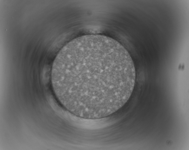 X0000111840030200909031714