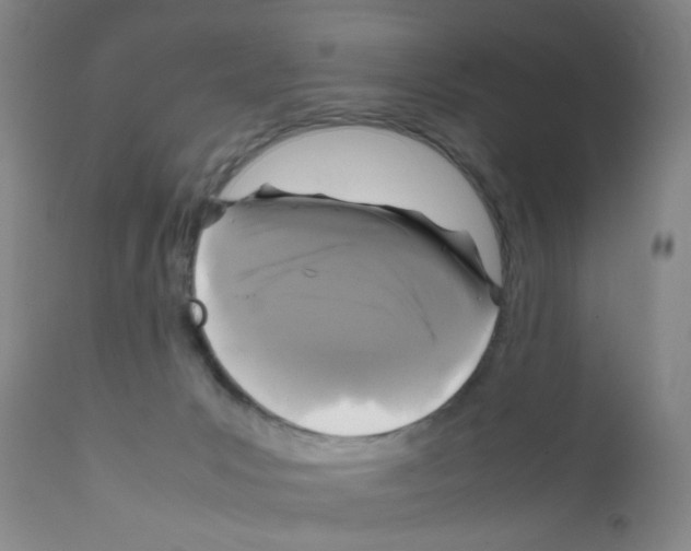 X0000111840031200909031714