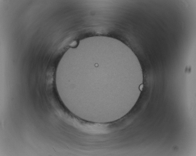 X0000111840032200909031714