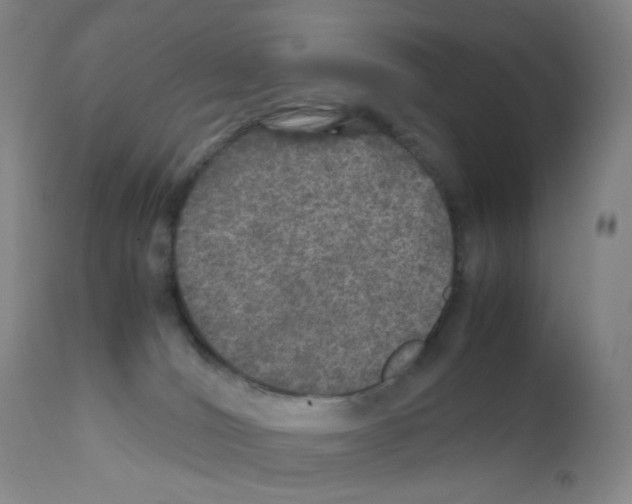 X0000111840036200909031714