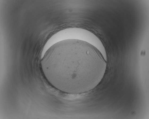 X0000111840037200909031714