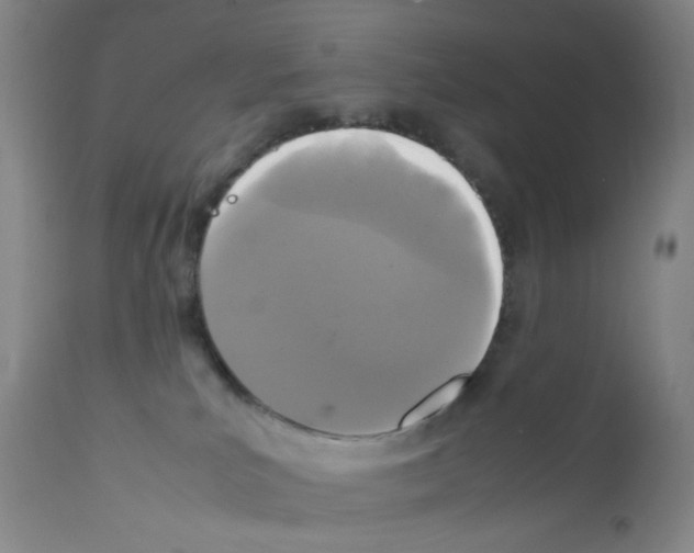 X0000111840039200909031714